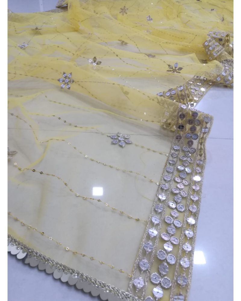 Premium Butterfly Net Lehenga Choli set