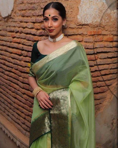 Kora Organza Jacquard Soff Saree with pallu and running blouse
