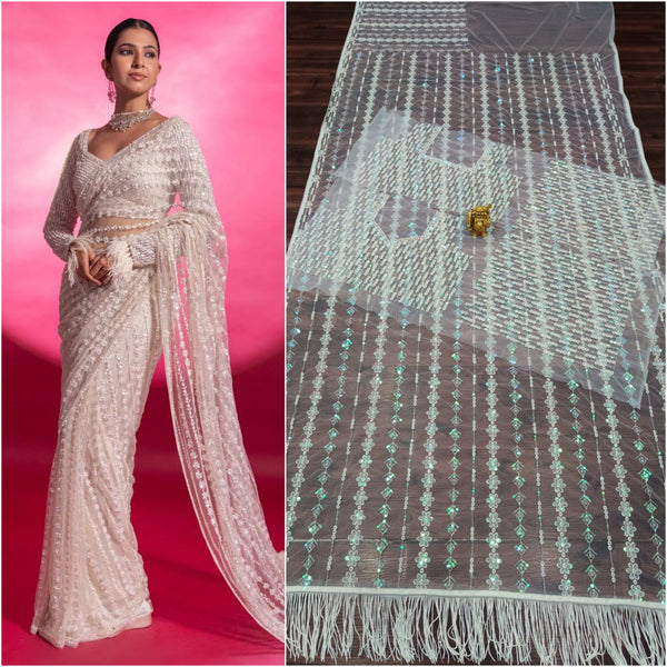 Net Embroidery Saree with blouse