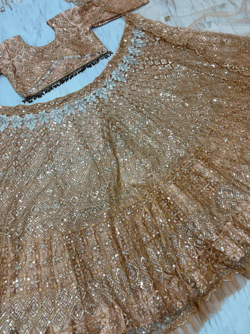 Butterfly Net Sequence Lehenga Choli