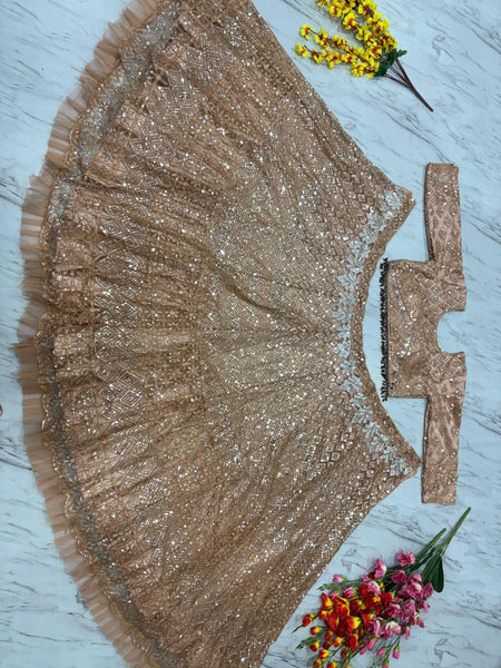 Butterfly Net Sequence Lehenga Choli