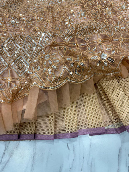 Butterfly Net Sequence Lehenga Choli