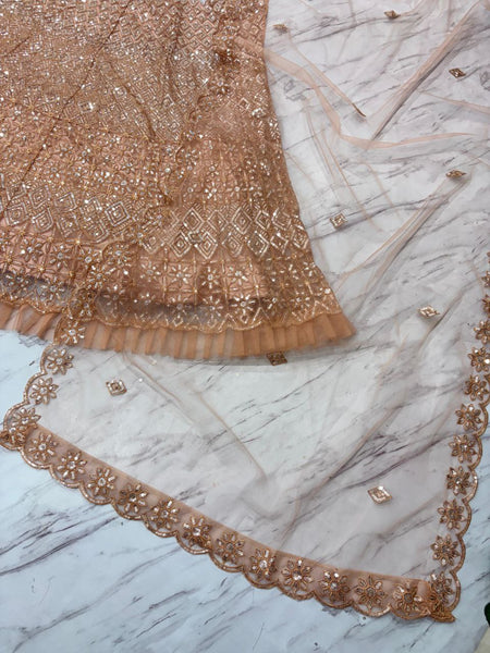 Butterfly Net Sequence Lehenga Choli