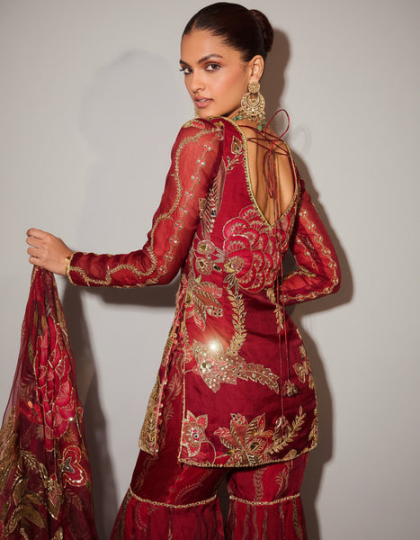 Soft Organza Sharara Set