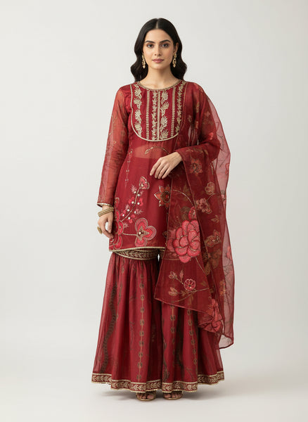 Soft Organza Sharara Set