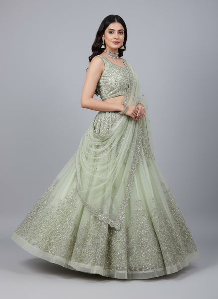 Soft Butterfly Net Designer Lehenga Choli