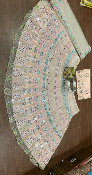 Beautiful Butterfly Net Lehenga, Intricate Real Mirror Sequence Embroidery Work