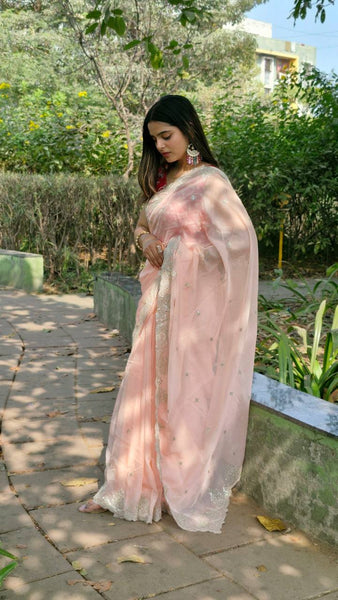 Organza Silk Sequence Work Saree Blouse