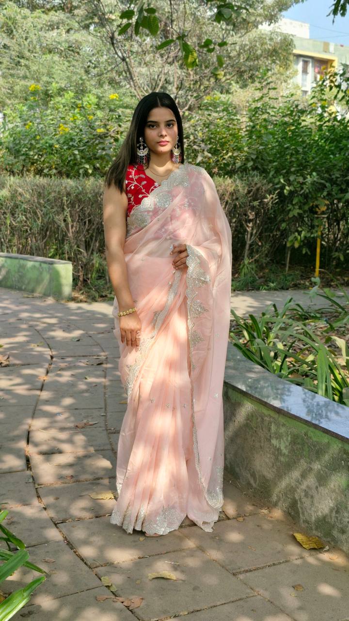 Organza Silk Sequence Work Saree Blouse