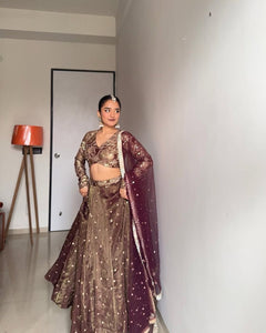 Letest Brown colour Jimmy Chu Sequnce Work Lehenga Choli