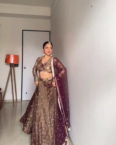 Letest Brown colour Jimmy Chu Sequnce Work Lehenga Choli