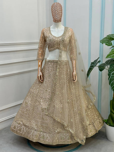 Butterfly Net Sequins Codding Embroidery Lehenga Choli