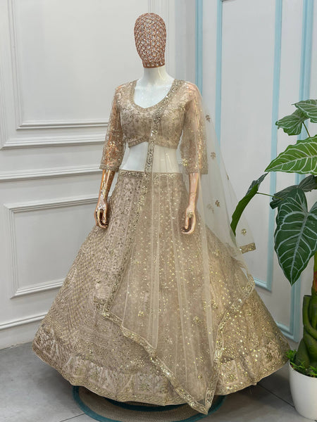 Butterfly Net Sequins Codding Embroidery Lehenga Choli