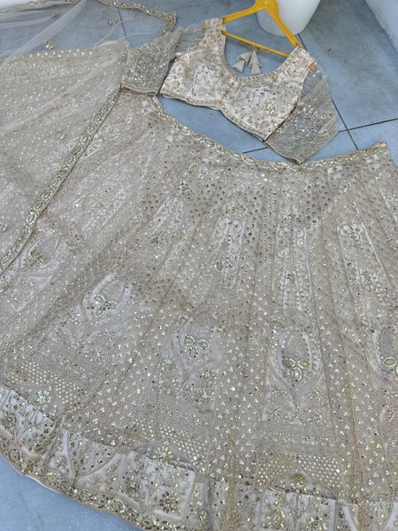 Butterfly Net Sequins Codding Embroidery Lehenga Choli
