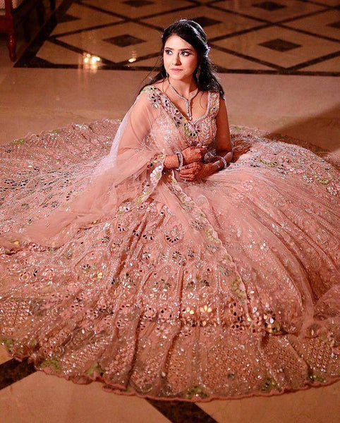 Beautiful Butterfly Net Lehenga, Intricate Real Mirror Sequence Embroidery Work