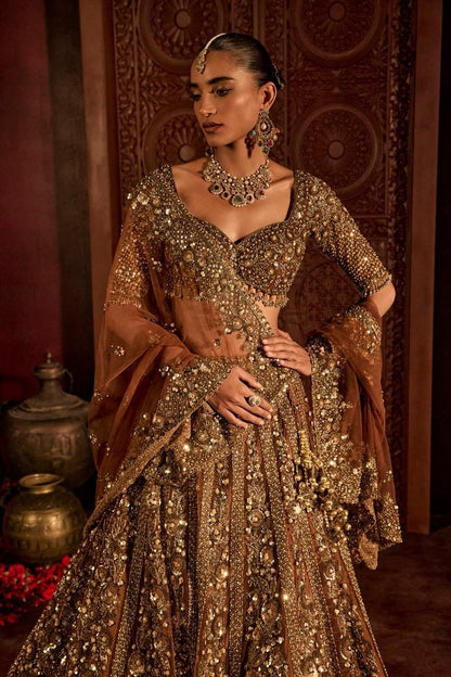 Premium Butterfly Net Lehenga Choli with Glass Sequins Dori Work