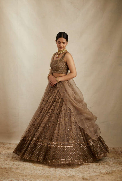 Premium Embroidered Sequins Net Lehenga Choli Set