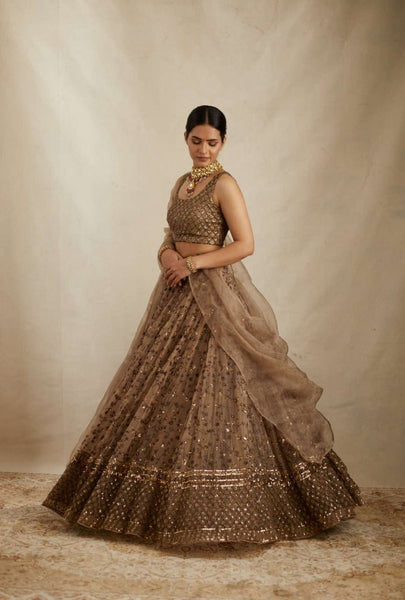 Premium Embroidered Sequins Net Lehenga Choli Set