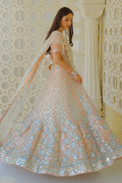 Butterfly Net Mirror-Work Lehenga choli set