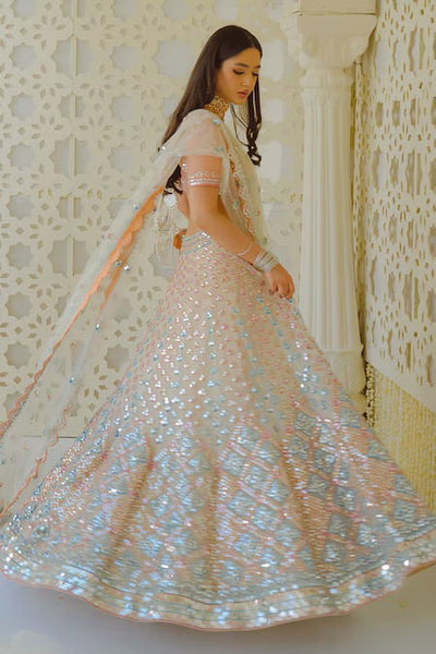 Butterfly Net Mirror-Work Lehenga choli set