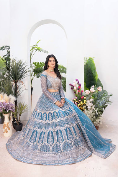 Sky Blue Color Net Sequence Work Lehenga Choli