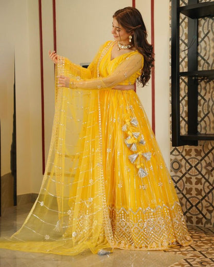 Premium Butterfly Net Lehenga Choli set