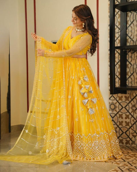 Premium Butterfly Net Lehenga Choli set