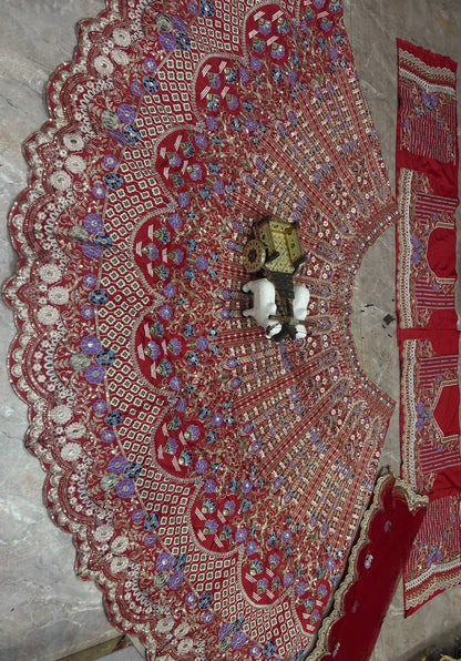 Heavy Embroidered Lehenga Choli with Coding Sequins Cut Work, Cancan & Canvas Patta | Designer Bridal Lehenga