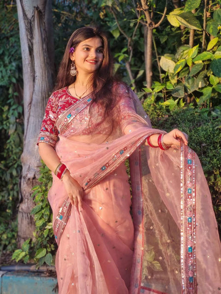 Pink Color Organza Silk Sequence Saree Blouse