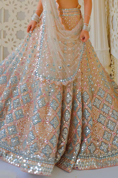 Butterfly Net Mirror-Work Lehenga choli set