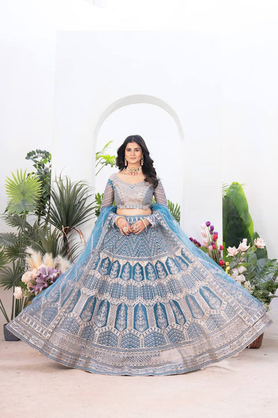 Sky Blue Color Net Sequence Work Lehenga Choli