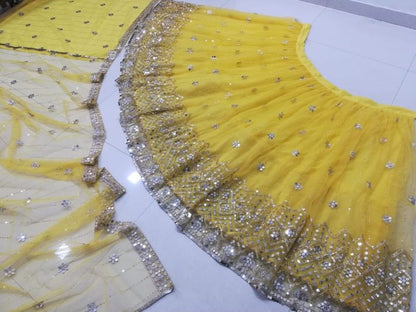 Premium Butterfly Net Lehenga Choli set