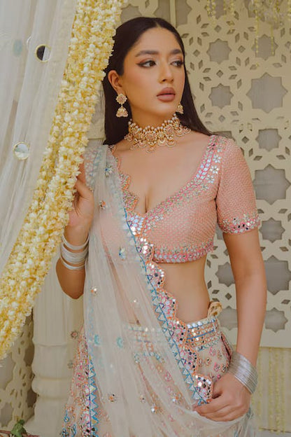 Butterfly Net Mirror-Work Lehenga choli set