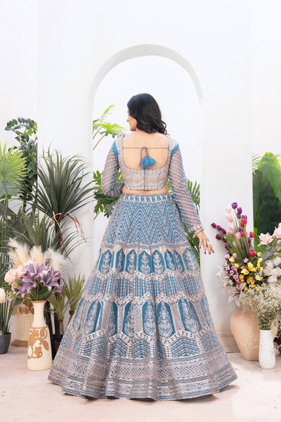 Sky Blue Color Net Sequence Work Lehenga Choli