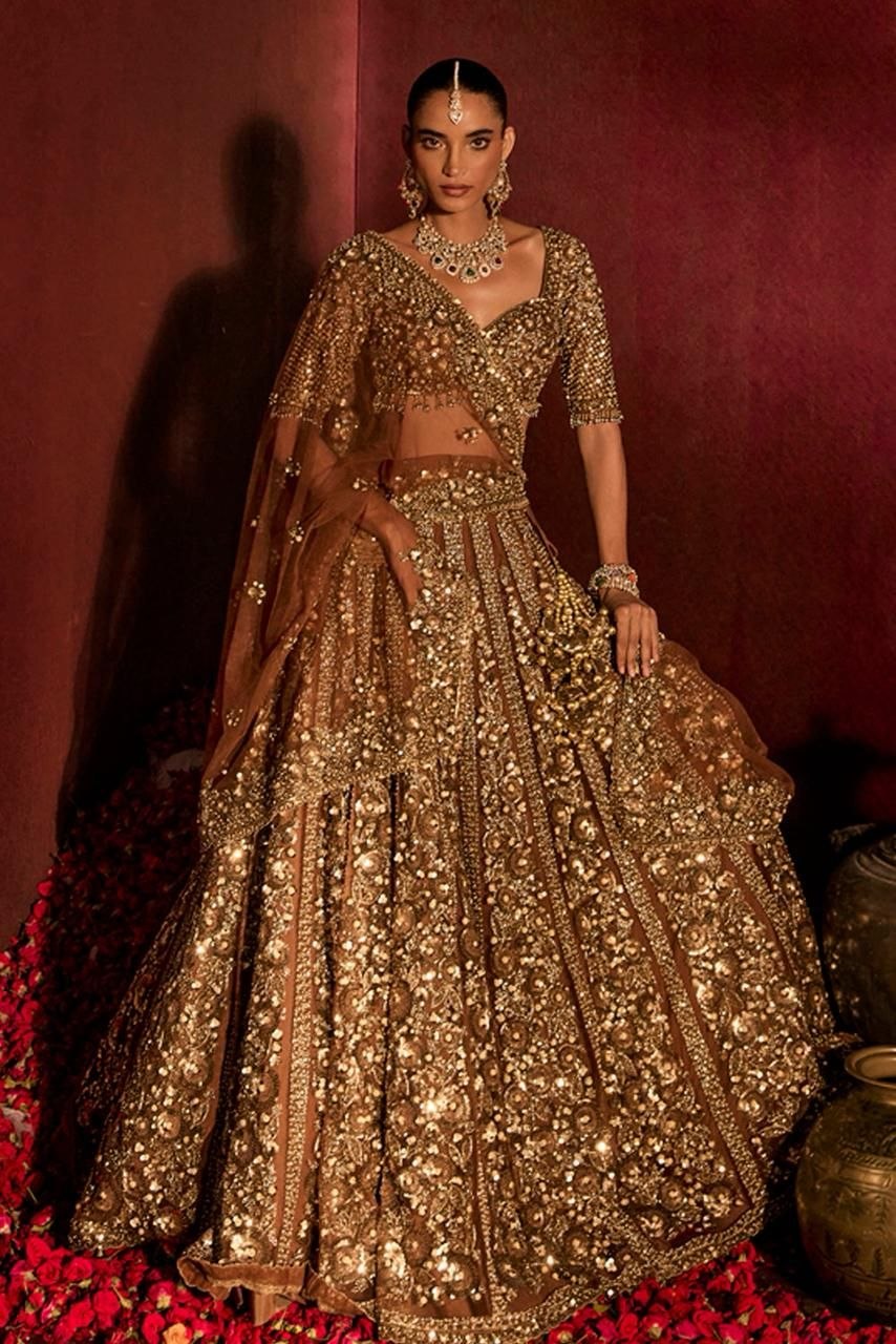 Premium Butterfly Net Lehenga Choli with Glass Sequins Dori Work