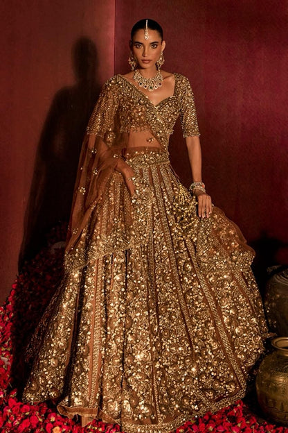 Premium Butterfly Net Lehenga Choli with Glass Sequins Dori Work