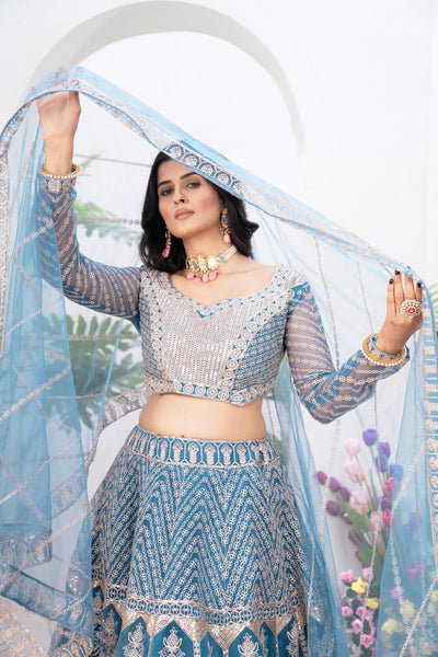 Sky Blue Color Net Sequence Work Lehenga Choli