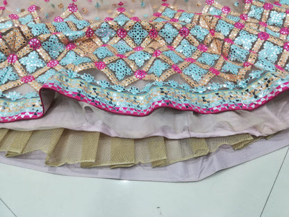 Butterfly Net Mirror-Work Lehenga choli set