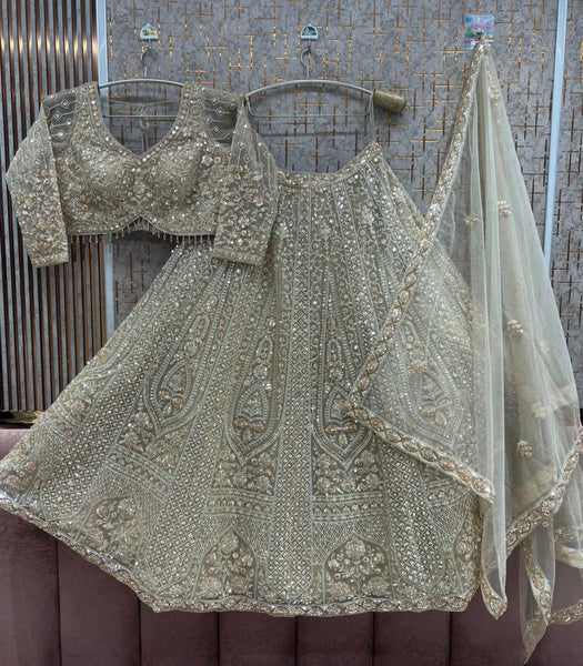 Butterfly Net Sequins Codding Embroidery Lehenga Choli