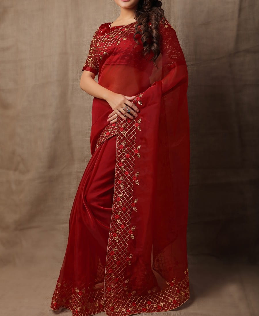 Gorgeous Red Colour Net Thread Embroidered Work Saree Blouse