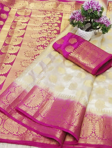 Lovely Cream Color Nylon Silk All Over Design Rich Pallu Saree Blouse