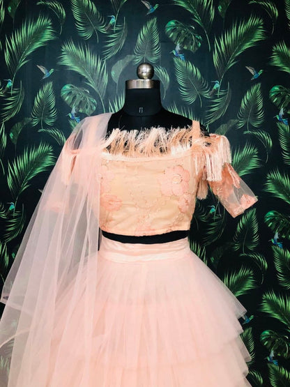 Striking Peach Color Function Wear Soft Net Embroidered Work Lehenga Choli