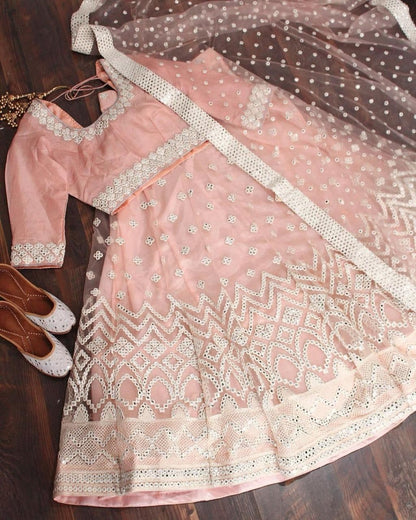 Peach Color Net Embroidered Work Occasion Wear Lehenga