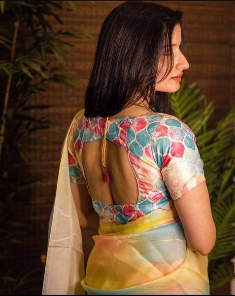 Fancy Fabric with Art Hand Foil and Digital Print Saree